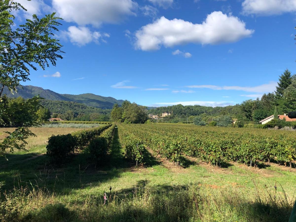 Terres De France - Le Domaine Des Vans Chambonas Zewnętrze zdjęcie