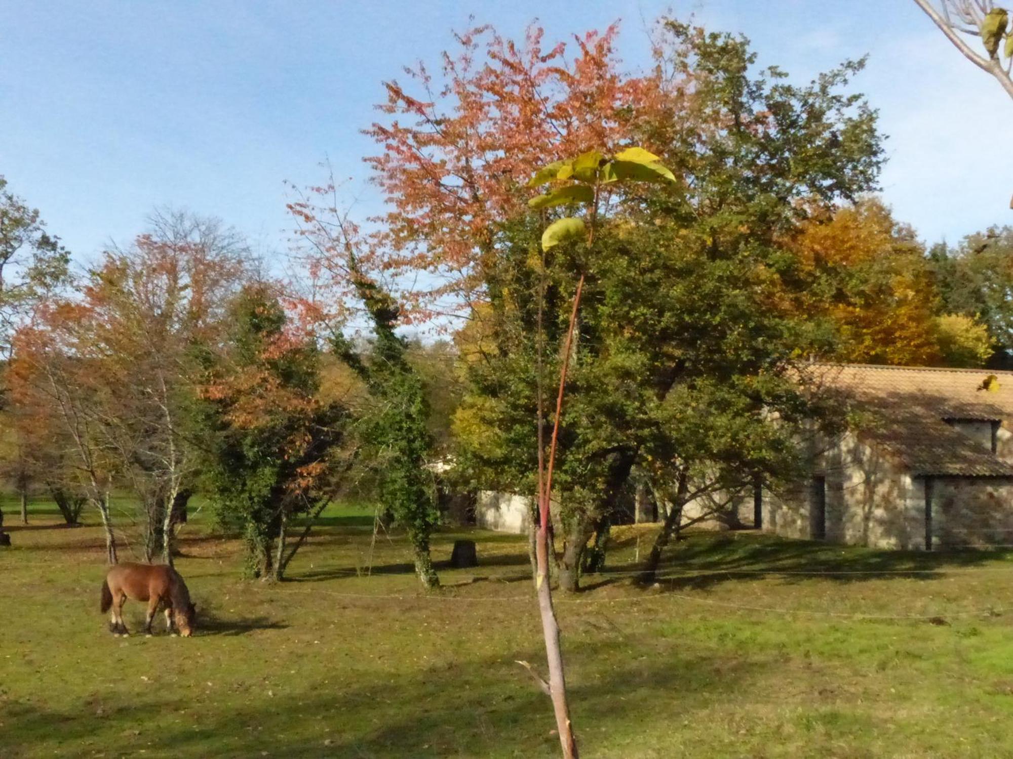 Terres De France - Le Domaine Des Vans Chambonas Zewnętrze zdjęcie