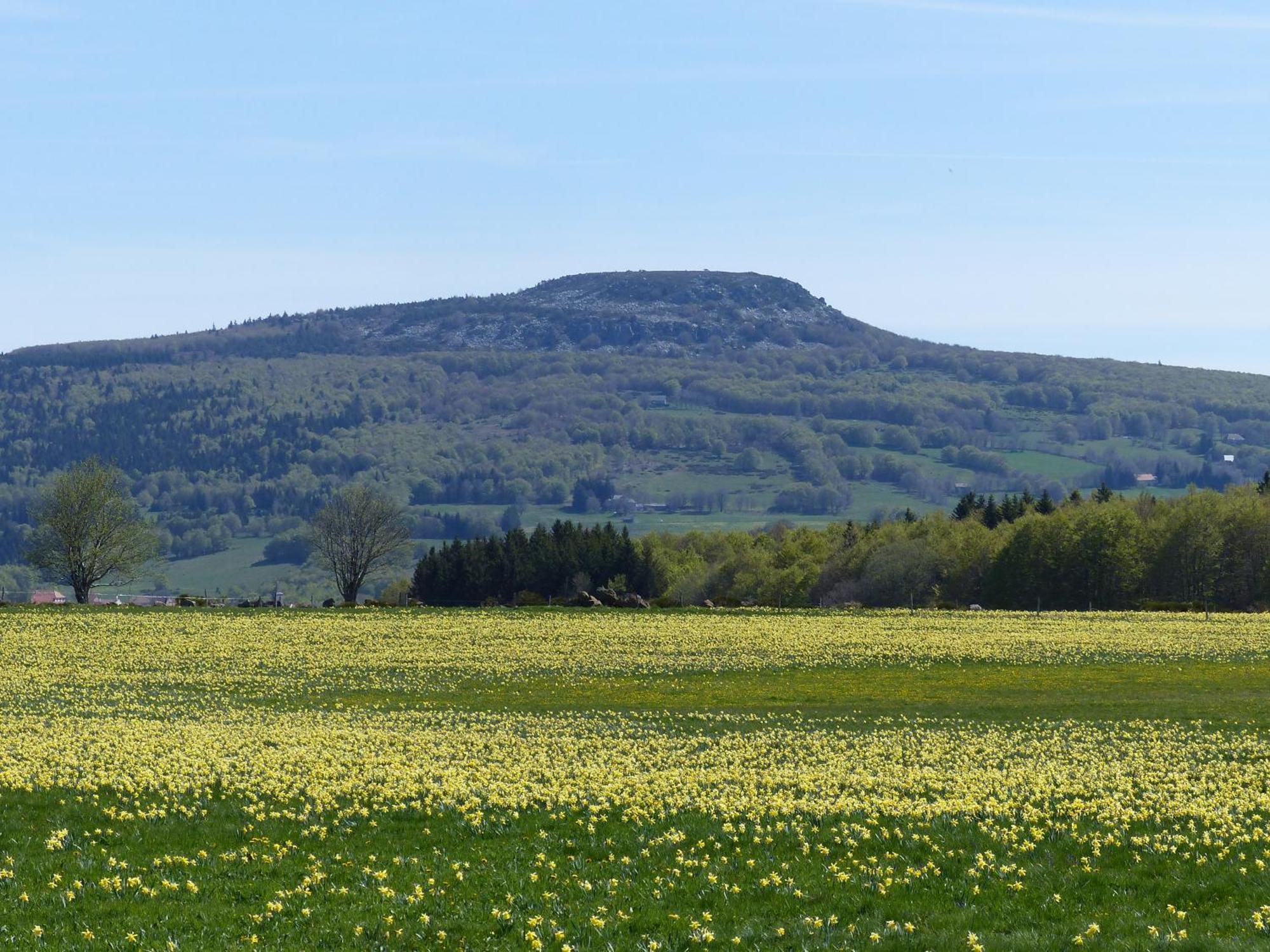 Terres De France - Le Domaine Des Vans Chambonas Zewnętrze zdjęcie